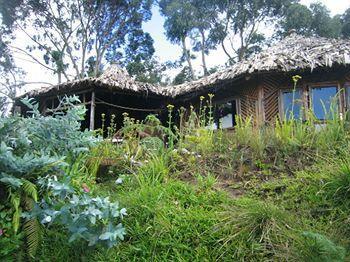 Mount Kilimanjaro View Lodge Moshi Exteriör bild