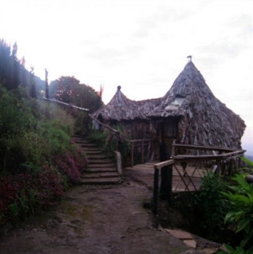 Mount Kilimanjaro View Lodge Moshi Exteriör bild
